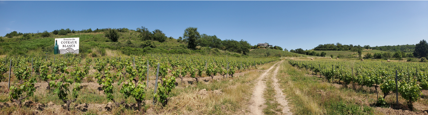 DOMAINE DES COTEAUX BLANCS